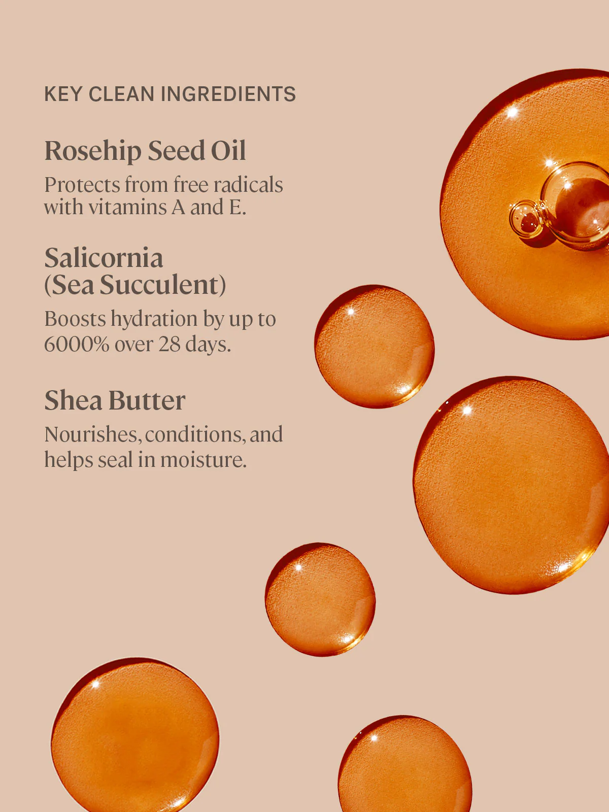 Balmy Tint Hydrating Lip Balm - Image 6