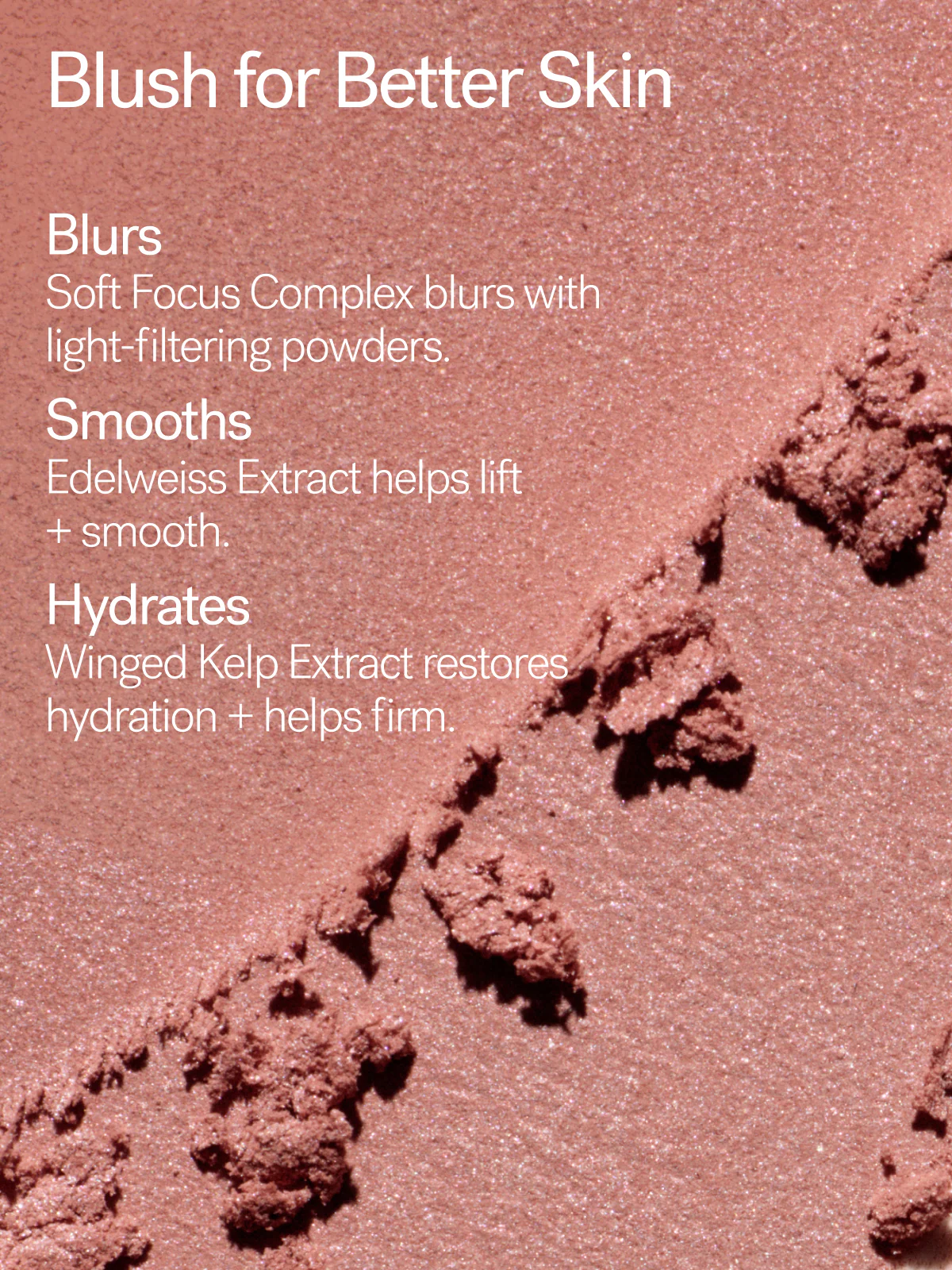 Soft Focus Blurring Blush - Image 12